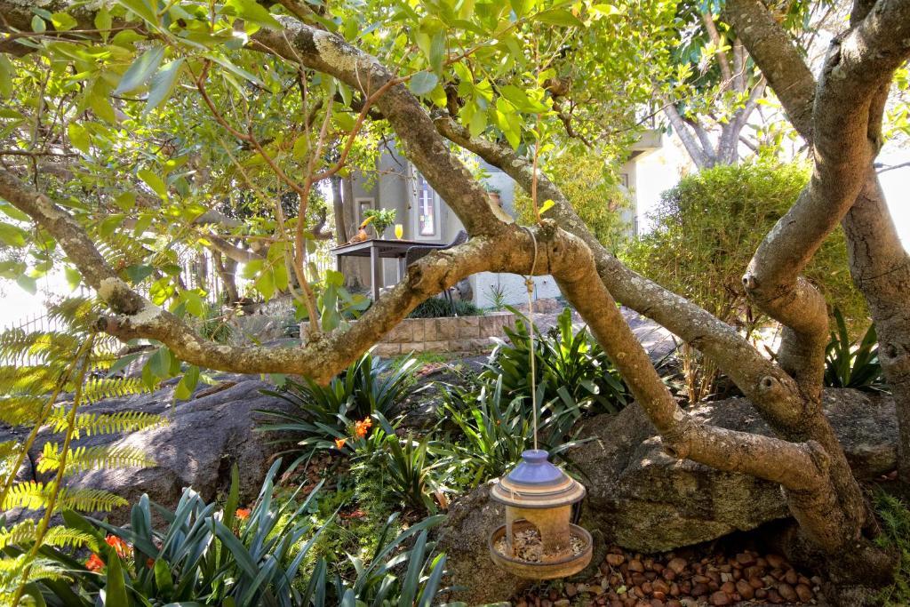 Loerie'S Call Guesthouse Mbombela Eksteriør billede