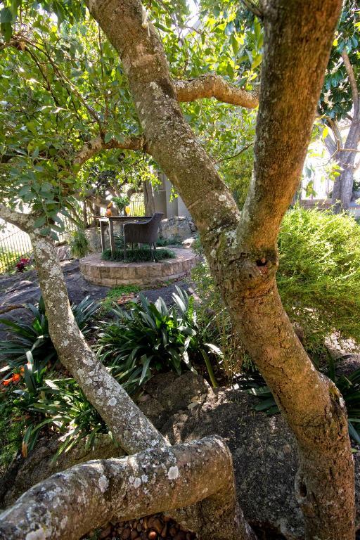 Loerie'S Call Guesthouse Mbombela Eksteriør billede